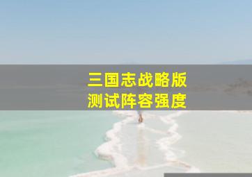 三国志战略版测试阵容强度