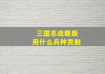 三国志战略版用什么兵种克制