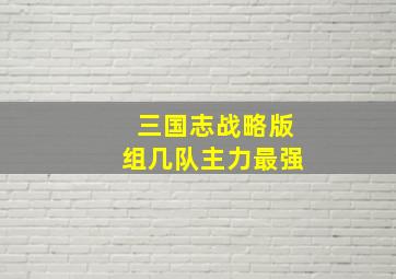 三国志战略版组几队主力最强