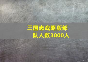 三国志战略版部队人数3000人