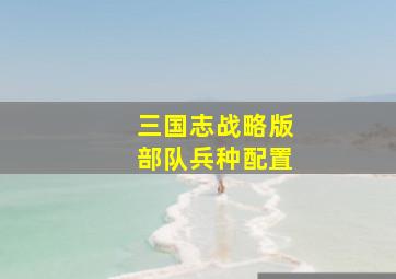 三国志战略版部队兵种配置