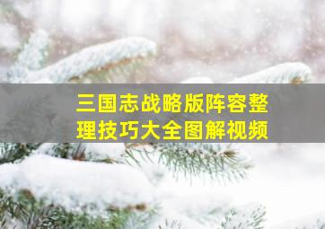 三国志战略版阵容整理技巧大全图解视频