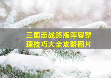 三国志战略版阵容整理技巧大全攻略图片