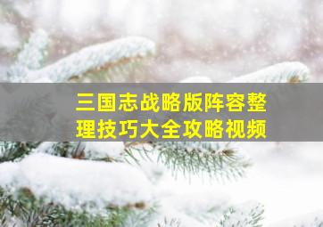 三国志战略版阵容整理技巧大全攻略视频