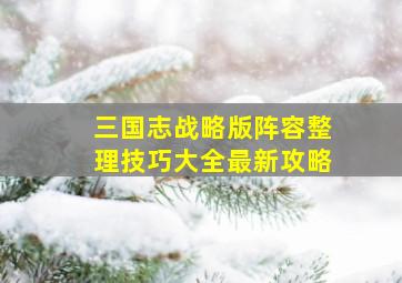 三国志战略版阵容整理技巧大全最新攻略