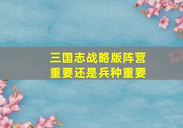 三国志战略版阵营重要还是兵种重要