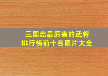 三国志最厉害的武将排行榜前十名图片大全