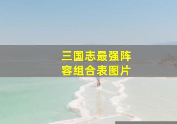 三国志最强阵容组合表图片