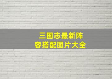 三国志最新阵容搭配图片大全