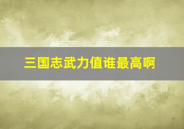 三国志武力值谁最高啊