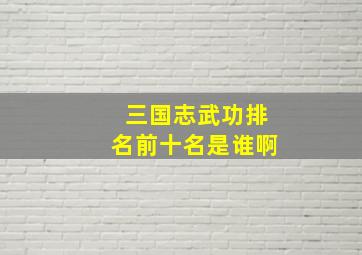 三国志武功排名前十名是谁啊