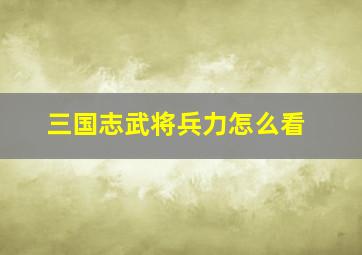 三国志武将兵力怎么看