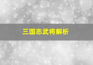 三国志武将解析