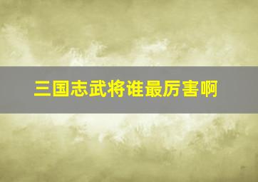 三国志武将谁最厉害啊