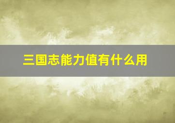 三国志能力值有什么用