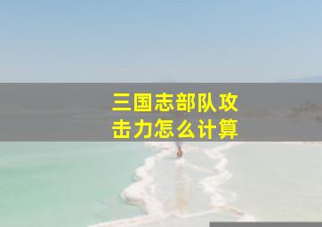 三国志部队攻击力怎么计算