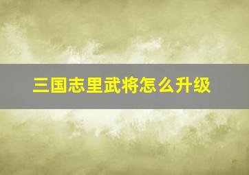 三国志里武将怎么升级