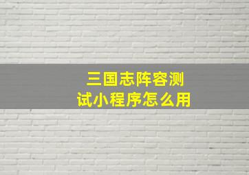 三国志阵容测试小程序怎么用