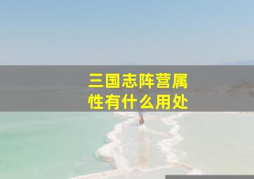 三国志阵营属性有什么用处