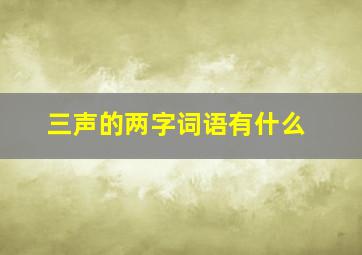 三声的两字词语有什么