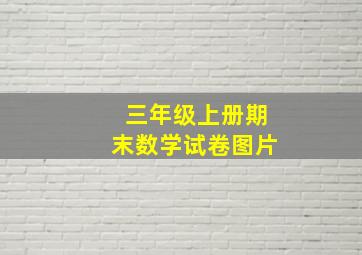 三年级上册期末数学试卷图片