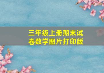 三年级上册期末试卷数学图片打印版