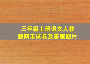 三年级上册语文人教版期末试卷及答案图片