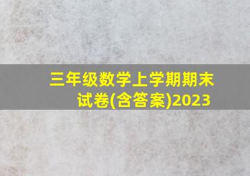 三年级数学上学期期末试卷(含答案)2023