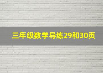 三年级数学导练29和30页