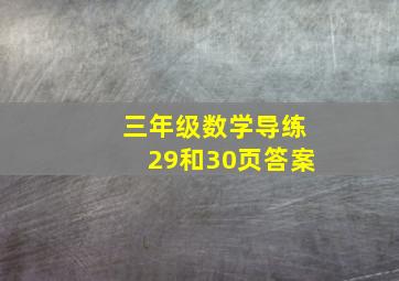 三年级数学导练29和30页答案