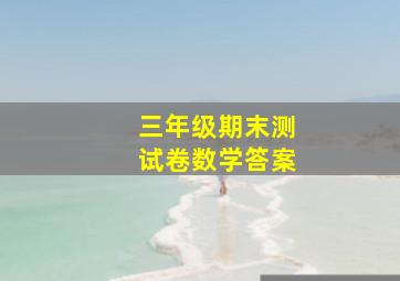 三年级期末测试卷数学答案