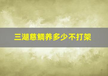 三湖慈鲷养多少不打架