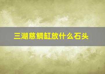 三湖慈鲷缸放什么石头