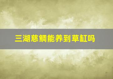 三湖慈鲷能养到草缸吗