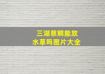 三湖慈鲷能放水草吗图片大全