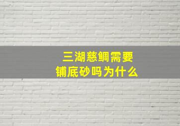 三湖慈鲷需要铺底砂吗为什么