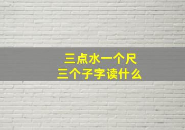 三点水一个尺三个子字读什么