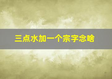 三点水加一个宗字念啥