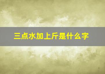 三点水加上斤是什么字