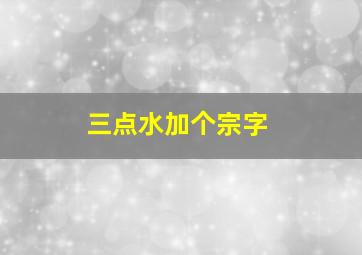 三点水加个宗字