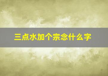 三点水加个宗念什么字