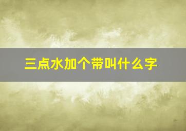 三点水加个带叫什么字