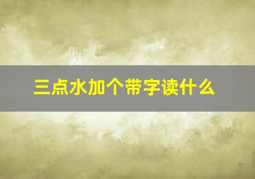 三点水加个带字读什么