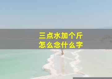 三点水加个斤怎么念什么字