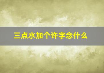 三点水加个许字念什么