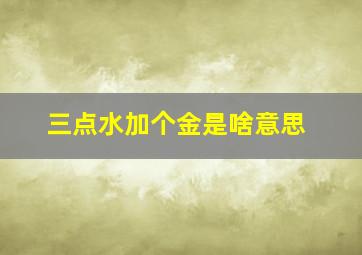 三点水加个金是啥意思