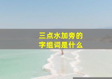 三点水加旁的字组词是什么