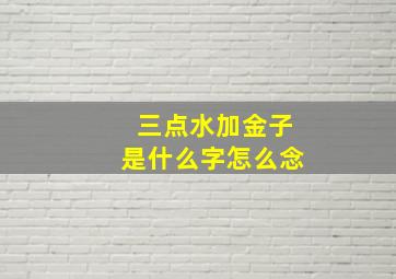 三点水加金子是什么字怎么念