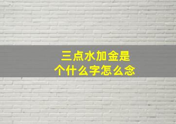 三点水加金是个什么字怎么念