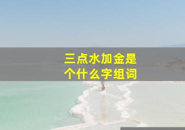 三点水加金是个什么字组词